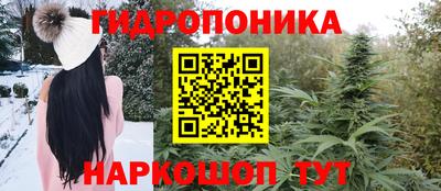стафф Ставрополь