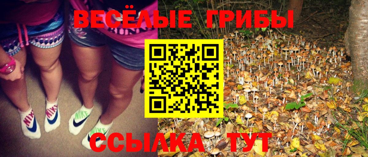 Ртищево  Псилоцибиновые грибы прущие грибы  Вход с VPN 