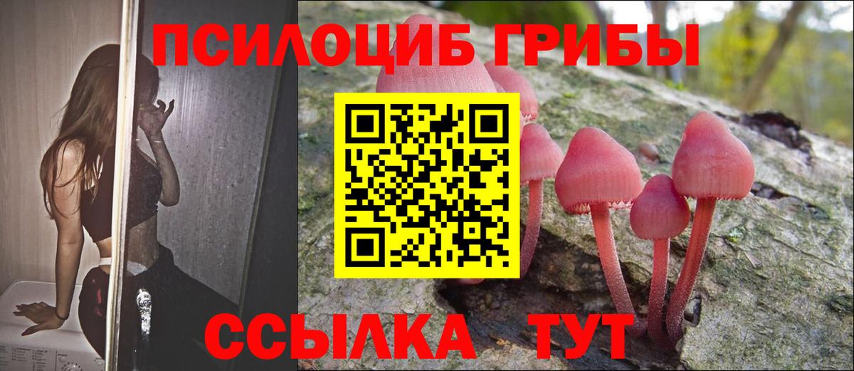 Галлюциногенные грибы Cubensis Ртищево